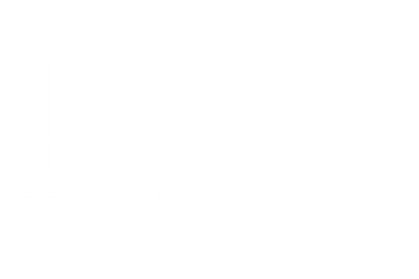 Pacific Bridge Partners